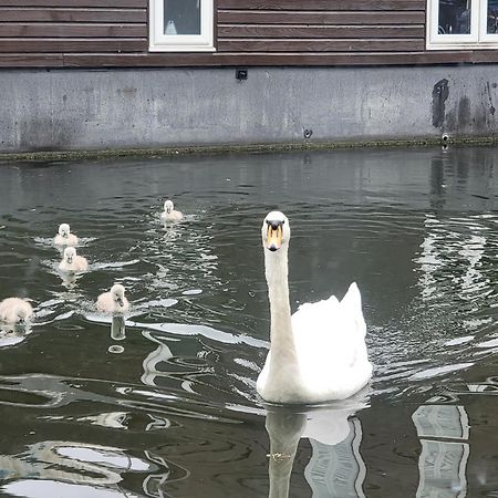 Lovely Canal Boat In Little Venice For Family & Friends London Bagian luar foto