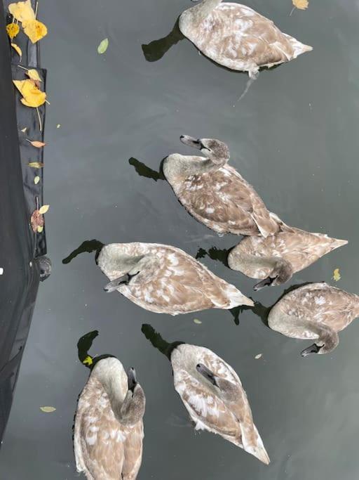 Lovely Canal Boat In Little Venice For Family & Friends London Bagian luar foto