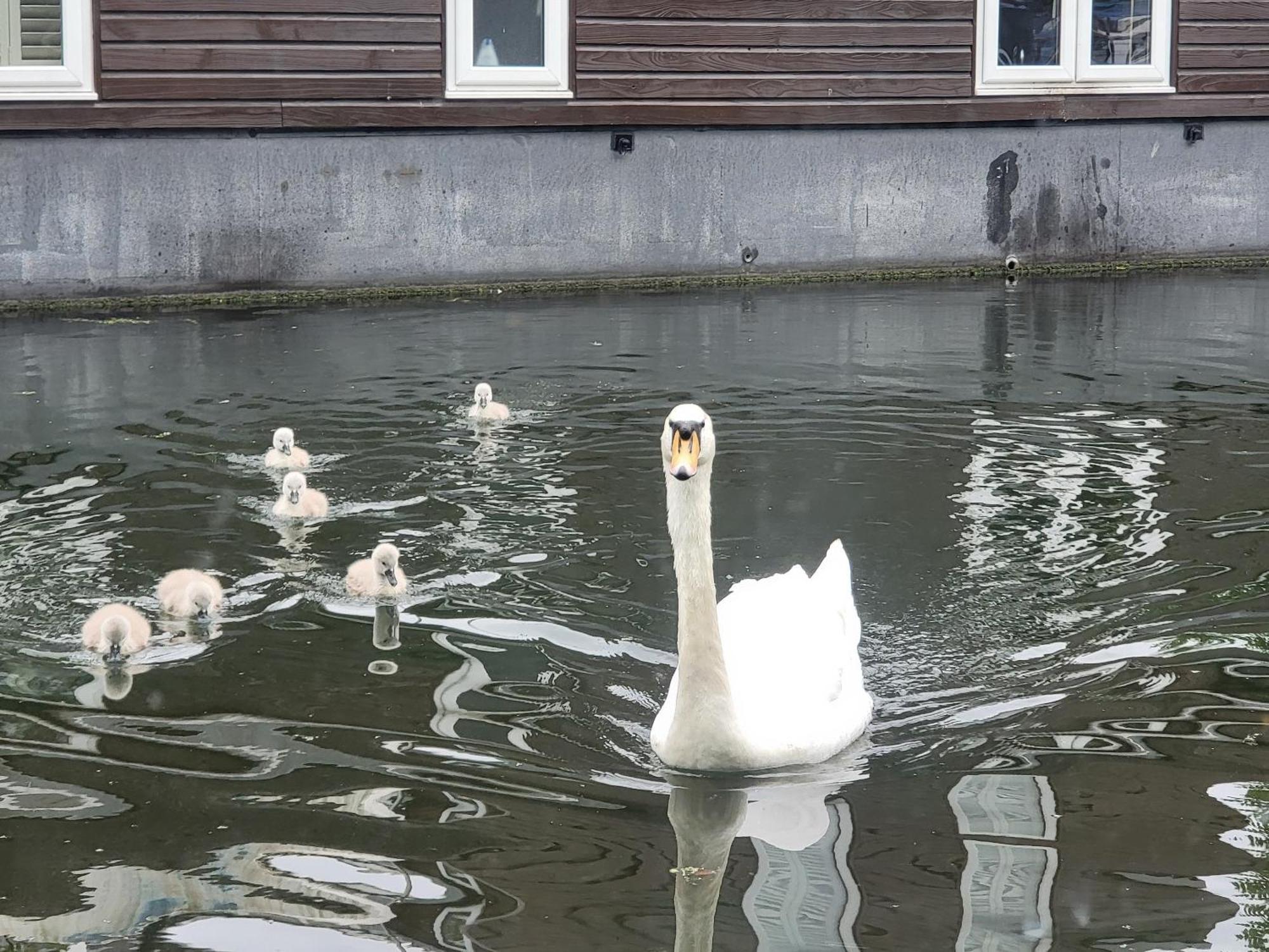 Lovely Canal Boat In Little Venice For Family & Friends London Bagian luar foto